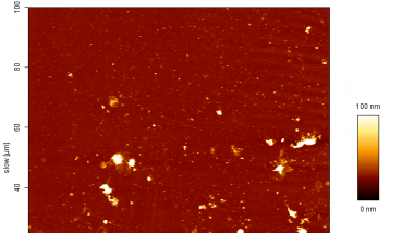 spot15 Np 100x100 3_measuredHeight_trace.png BLOODE: Elaborer un nouvel outil de diagnostic sur le fonctionnement des plaquettes sanguines