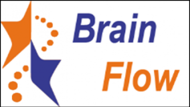 Brain flow 2.png Brain Flow (Projet NPR de 2010 à 2014)