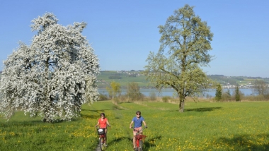 E-Bike Sempachersee.jpg Bewegung & Genuss mit E-Bike in der Region Sempachersee