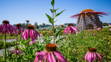 ABH034.jpg Bodenseegärten – Natur und Kultur im Garten