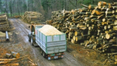 Holzenergie Wärmeverbund Sarnen.jpg Holzenergie Wärmeverbund Sarnen