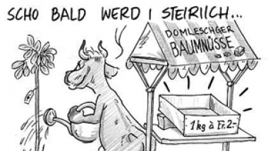 Nusstorte.jpg Nussanbau in GR